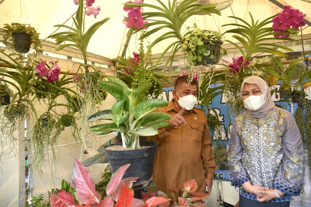 Ketua TP PKK Sumut, Nawal Lubis, meninjau pameran Florikultura Sumut tahun 2022 di Kantor Dinas Tanaman Pangan dan Hortikultura