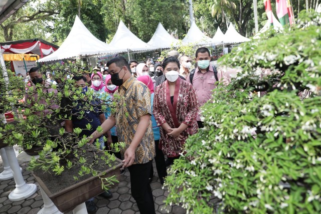 Wali Kota Medan, Bobby Nasution, bersama istri saat meninjau pameran tanaman hias