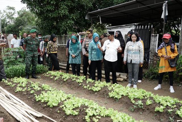 Pj Wali Kota Tebingtinggi, Muhammad Dimiyathi, bersama Ketua TP PKK dan unsur Forkopimda meninjau gerakan Tanam Tanaman Cepat Panen dan Peningkatan Produksi Melalui Pembuatan Elisitor Biosaka