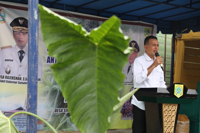 Wagub Sumut, Musa Rajekshah, memberikan sambutan pada MoU budidaya tanaman Talas Beneng di Pakpak Bharat