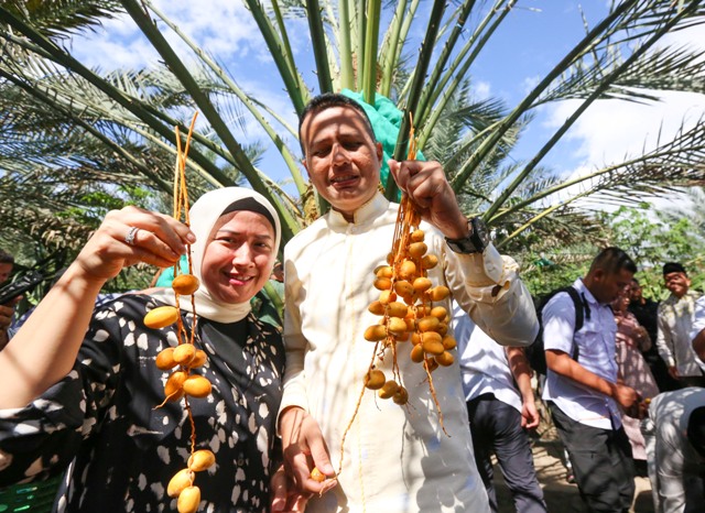 Wagubsu, Musa Rajekshah, bersama istri di kebun kurma Kabupaten Karo