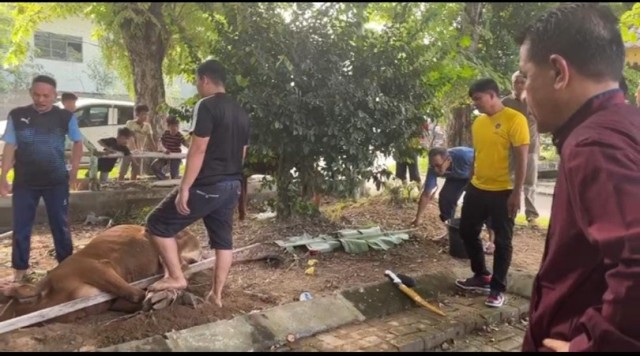 Kadishub-Medan-Iswar-Lubis-saksikan-penyembelihan-hewan-kurban