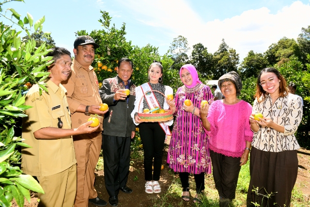 Ketua PKK Sumut, Nawal Lubis, panen jeruk di Humahas