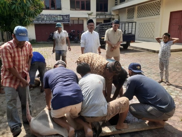 Ketua-dan-Sekjen-PWI-Sumut-saksikan-penyembelihan-hewan-kurban-1