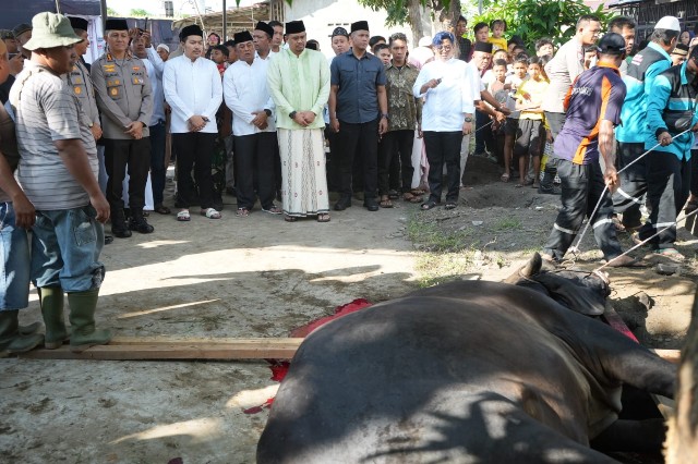 Wali Kota Medan, Bobby Nasution, saksikan penyembelihan hewan kurban 1