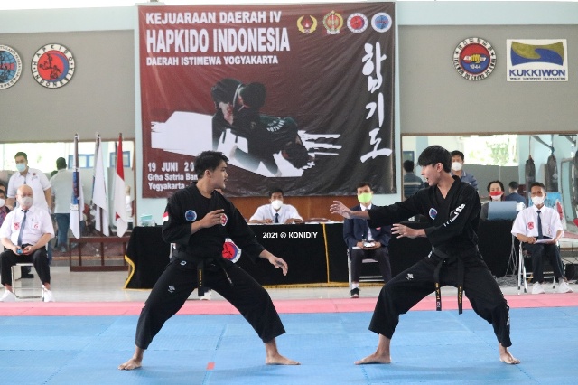 Olahraga Hapkido