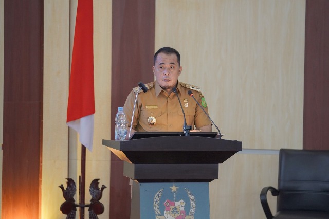 Wakil Wali Kota Medan, Aulia Rachman,