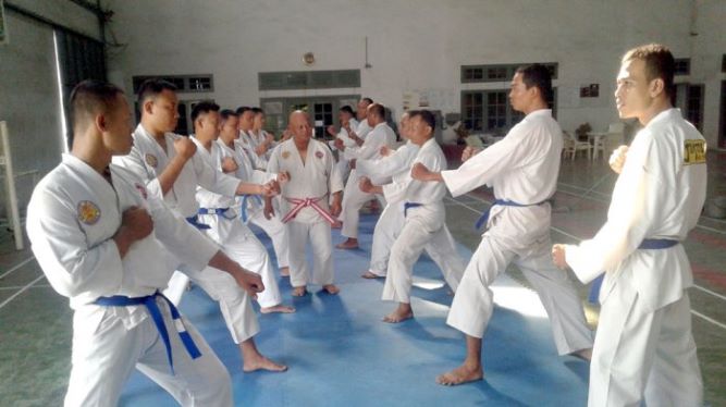 Olahraga Jujitsu