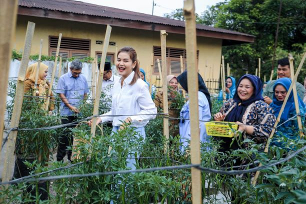 Kahiyang Ayu panen cabai bersama Koptan Bogainvile Medan Timur