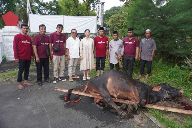 Partai Gerindra Sumut sembelih 12 hewan kurban pada Iduladha 1445 H