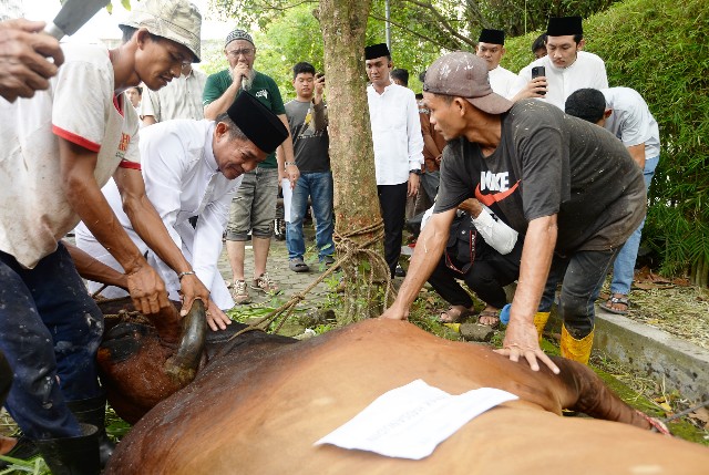 Pj Gubernur Sumut, Hassanudin, sembelih hewan kurban pada Iduladha 1445 H