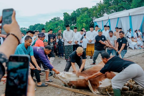 Wali Kota Medan, Boby Nasution dan keluarga kurban 1 ekor sapi