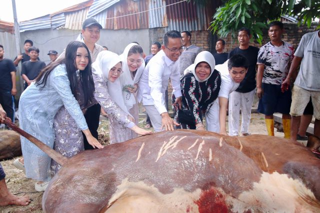 Wakil Wali Kota Medan, Zakiyuddin Harahap, serahkan hewan kurban