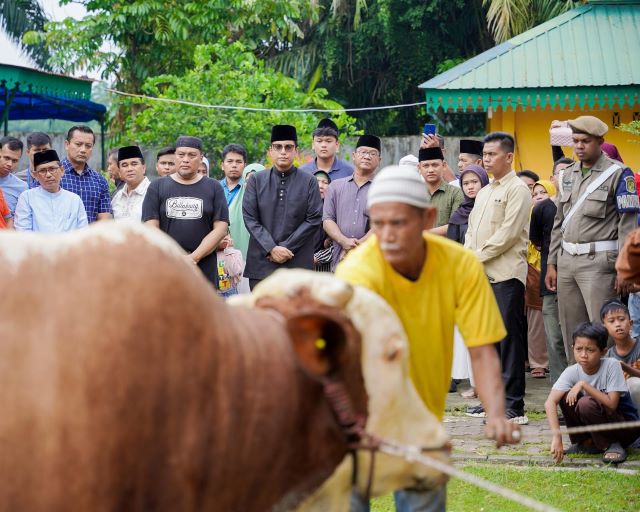Wali Kota Medan, Rico Tri Putra Bayu Waas, saksikan penyembelihan kurban Presiden di Masjid Al Osmani