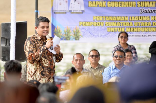 Gubernur Sumut, Bobby Nasution, dialog dengan petani jagung di Tapanuli Utara