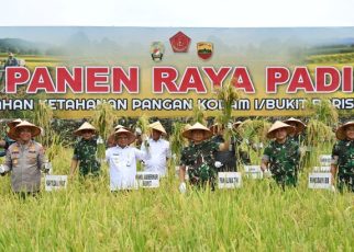 Wakil Gubernur Sumut, Surya & Panglima TNI, Jenderal Agus Subiyanto, panen raya padi di Deliserdang