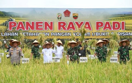 Wakil Gubernur Sumut, Surya & Panglima TNI, Jenderal Agus Subiyanto, panen raya padi di Deliserdang