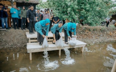 Ketua TP PKK Sumut, Kahiyang Ayu, tabur benih ikan di Langkat