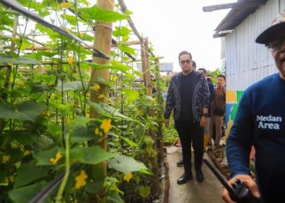 Wali Kota Medan, Rico Tri Putra Bayu Waas, lihat perkembanan hidroponik warga Medan Area