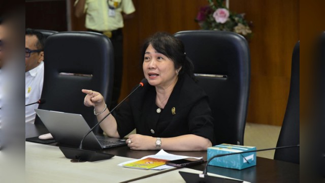 Anggota DPRD Medan Fraksi PDI Perjuangan, Lily
