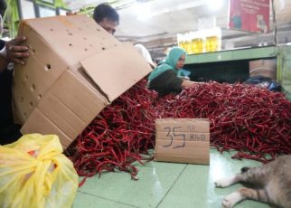Cabai Merah