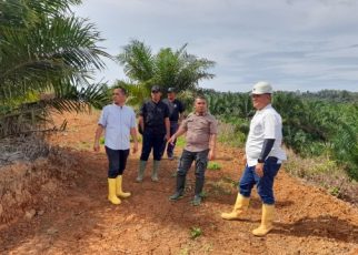 Komisaris PT. PSU, Muhammad Syarif Lubis, saat berada di perkebunan