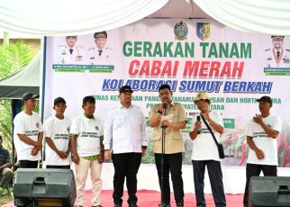 Gubernur Sumut, Bobby Nasution, usai tanam cabai merah di Batubara