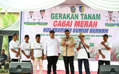 Gubernur Sumut, Bobby Nasution, usai tanam cabai merah di Batubara