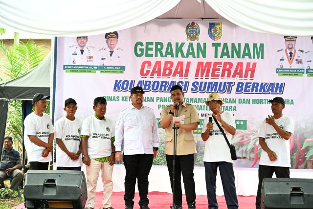 Gubernur Sumut, Bobby Nasution, usai tanam cabai merah di Batubara
