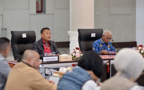 Wakil Gubernur Sumut, Surya, terima kunjungan BKSAP DPR RI