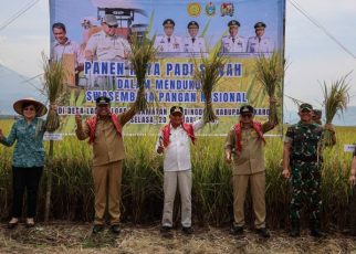Wakil Gubernur Sumut, Surya, panen raya di Karo