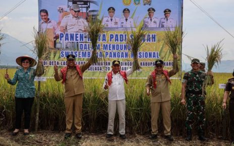 Wakil Gubernur Sumut, Surya, panen raya di Karo