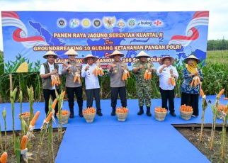 Wakil Gubernur Sumut, Surya, hadiri Panen Raya Jagung