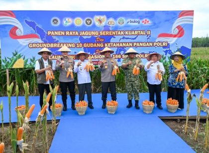 Wakil Gubernur Sumut, Surya, hadiri Panen Raya Jagung