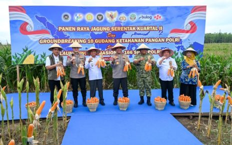 Wakil Gubernur Sumut, Surya, hadiri Panen Raya Jagung