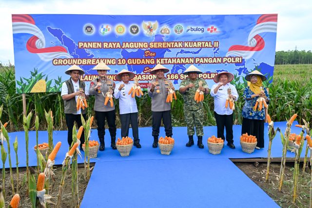 Wakil Gubernur Sumut, Surya, hadiri Panen Raya Jagung