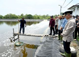 Wakil Gubernur Sumut, Surya, tinjau UPTD budidaya ikan air payau & laut Sialang Buah