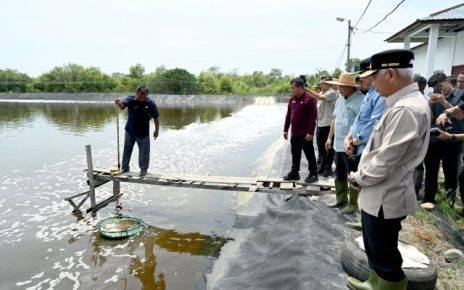 Wakil Gubernur Sumut, Surya, tinjau UPTD budidaya ikan air payau & laut Sialang Buah