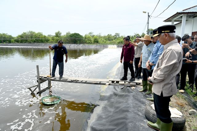 Wakil Gubernur Sumut, Surya, tinjau UPTD budidaya ikan air payau & laut Sialang Buah
