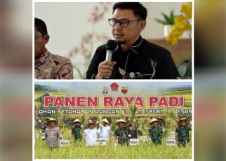 Kadis Pertanian Sumut & Wagubsu panen padi