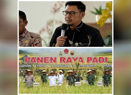 Kadis Pertanian Sumut & Wagubsu panen padi