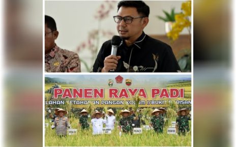 Kadis Pertanian Sumut & Wagubsu panen padi